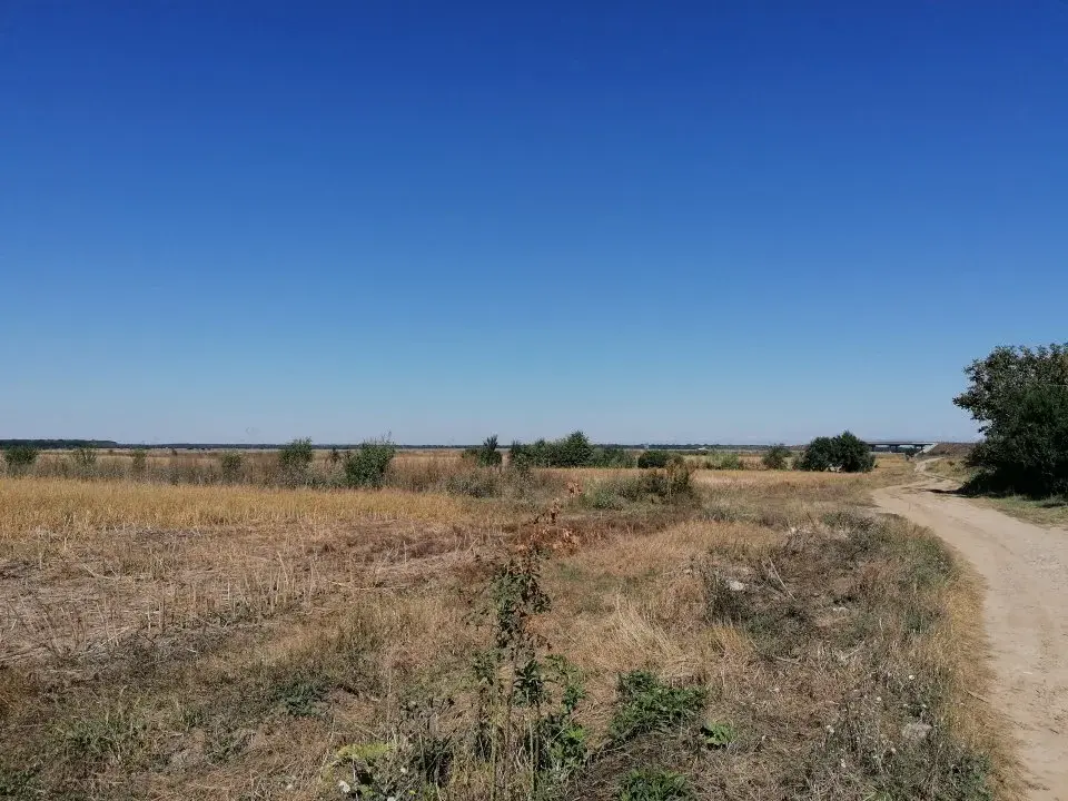 Oportunitate teren intravilan Moara Vlăsiei, Ilfov - 11.200 mp lângă Autostrada A3 - imaginea 2